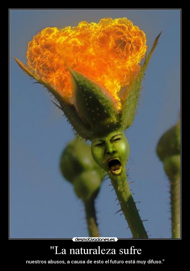 La naturaleza sufre - 