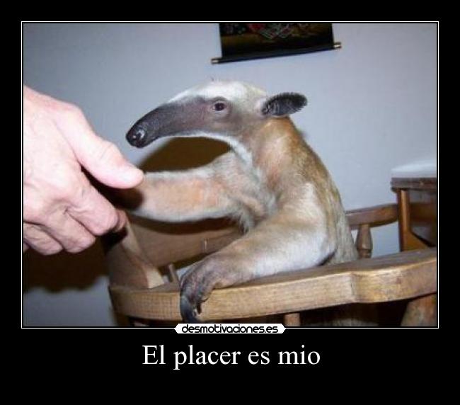 El placer es mio -