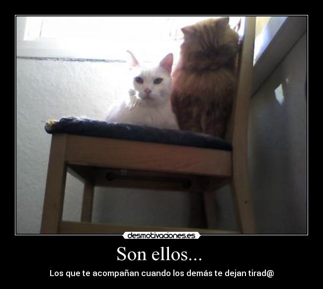 Son ellos... - Los que te acompañan cuando los demás te dejan tirad@