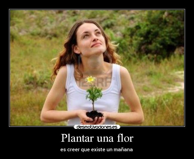 Plantar una flor - 