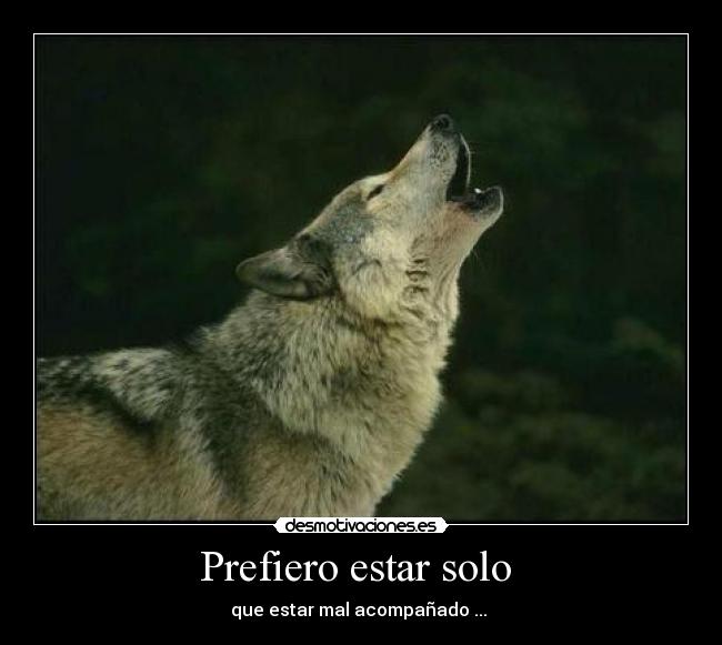 Prefiero estar solo  - que estar mal acompañado ... 