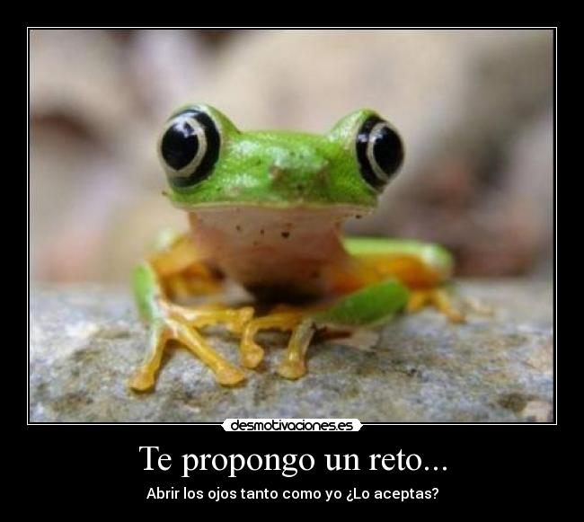 Te propongo un reto... - Abrir los ojos tanto como yo ¿Lo aceptas?