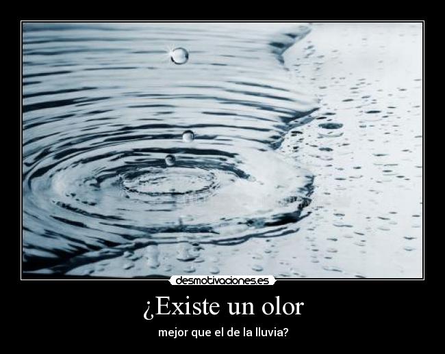 ¿Existe un olor - mejor que el de la lluvia?
