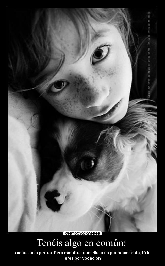 Tenéis algo en común: -