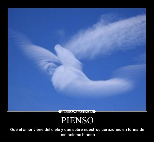 PIENSO - Que el amor viene del cielo y cae sobre nuestros corazones en forma de
una paloma blanca
