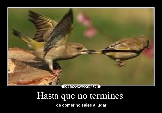 Hasta que no termines - de comer no sales a jugar