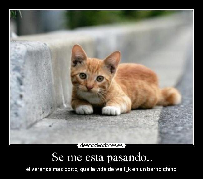 Se me esta pasando.. - el veranos mas corto, que la vida de walt_k en un barrio chino