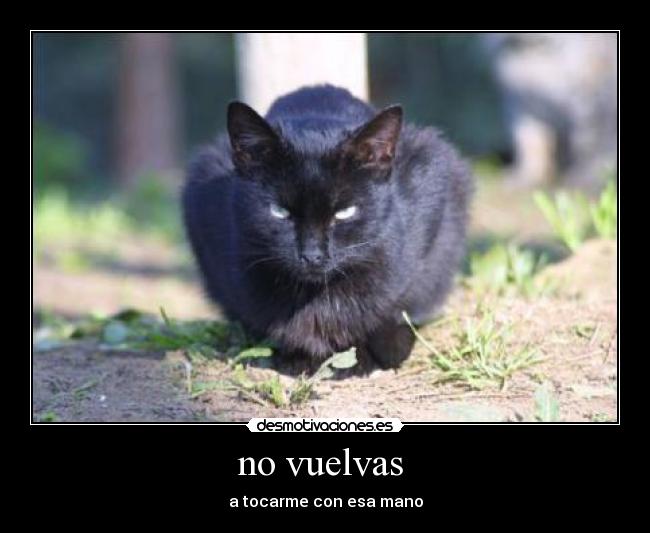 no vuelvas - a tocarme con esa mano