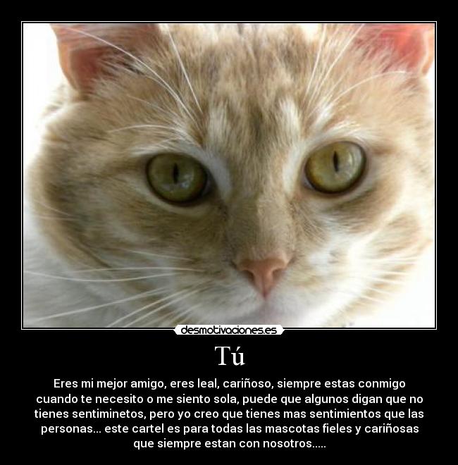 Tú - Eres mi mejor amigo, eres leal, cariñoso, siempre estas conmigo
cuando te necesito o me siento sola, puede que algunos digan que no
tienes sentiminetos, pero yo creo que tienes mas sentimientos que las
personas... este cartel es para todas las mascotas fieles y cariñosas
que siempre estan con nosotros.....