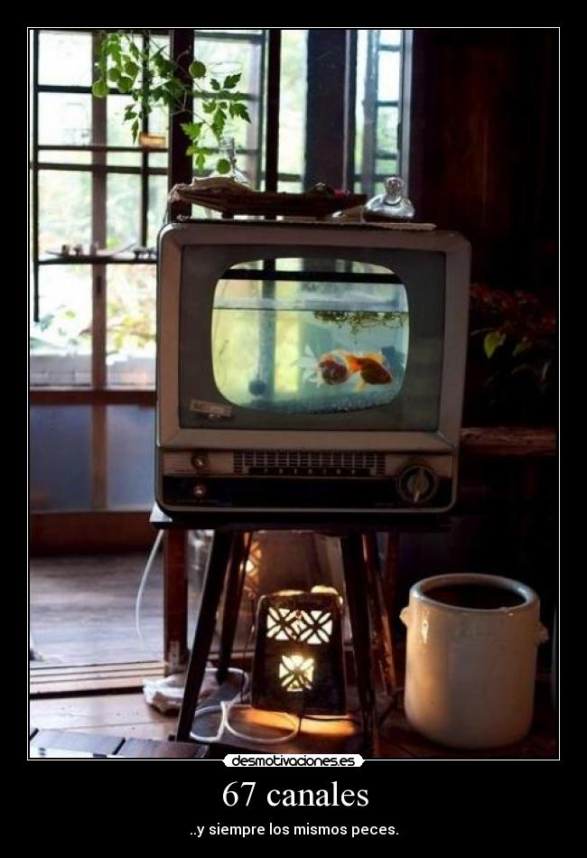 67 canales -