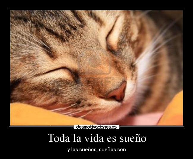 Toda la vida es sueño - y los sueños, sueños son