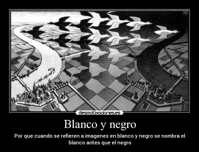 Blanco y negro -