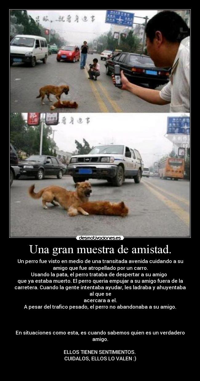 Una gran muestra de amistad. -