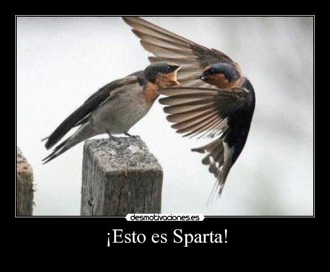 carteles sparta desmotivaciones