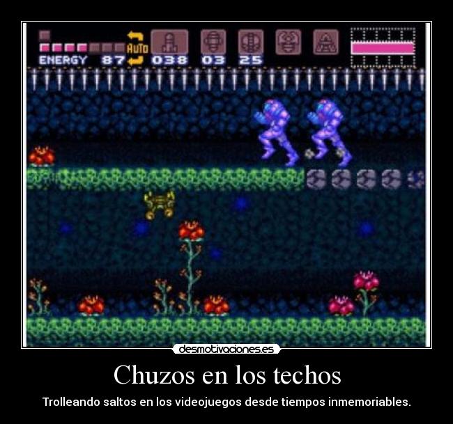 Chuzos en los techos -