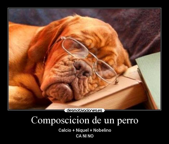 Composcicion de un perro - Calcio + Niquel + Nobelino
CA NI NO