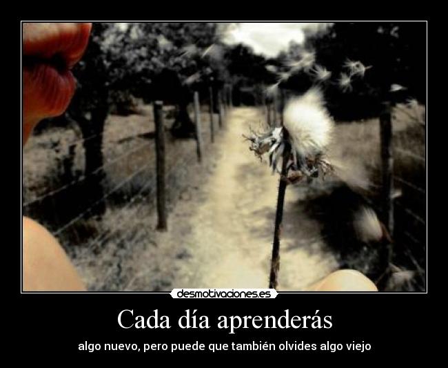 Cada día aprenderás - 