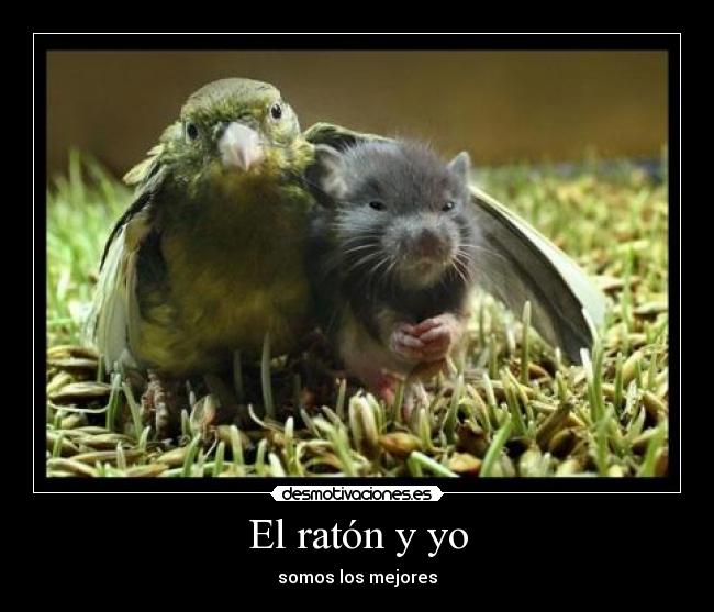 El ratón y yo - 