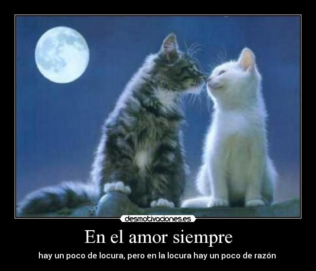 En el amor siempre - 