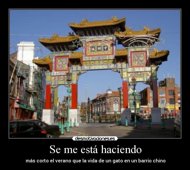 Se me está haciendo - más corto el verano que la vida de un gato en un barrio chino