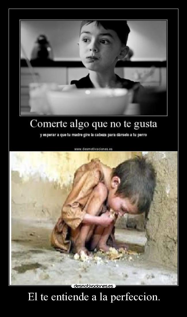 El te entiende a la perfeccion. -