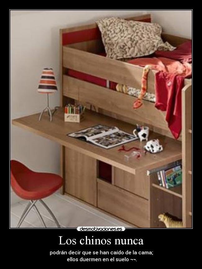 carteles los chinos nunca desmotivaciones