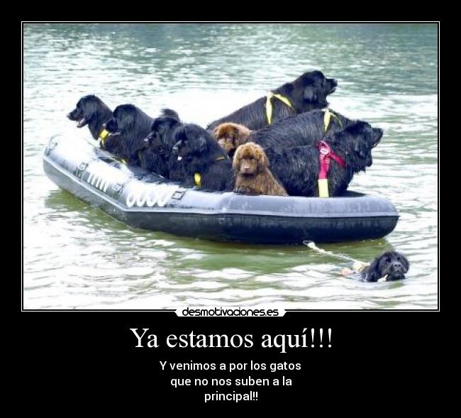 Ya estamos aquí!!! -