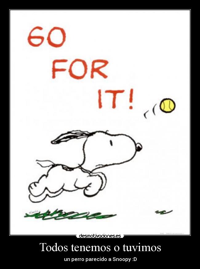 Todos tenemos o tuvimos - un perro parecido a Snoopy :D