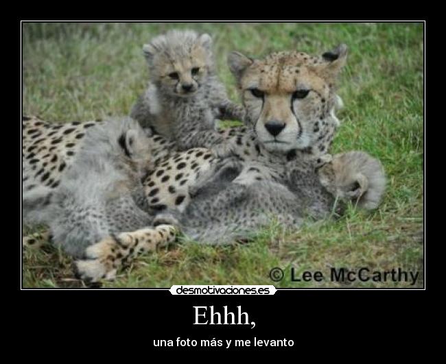 Ehhh, - una foto más y me levanto