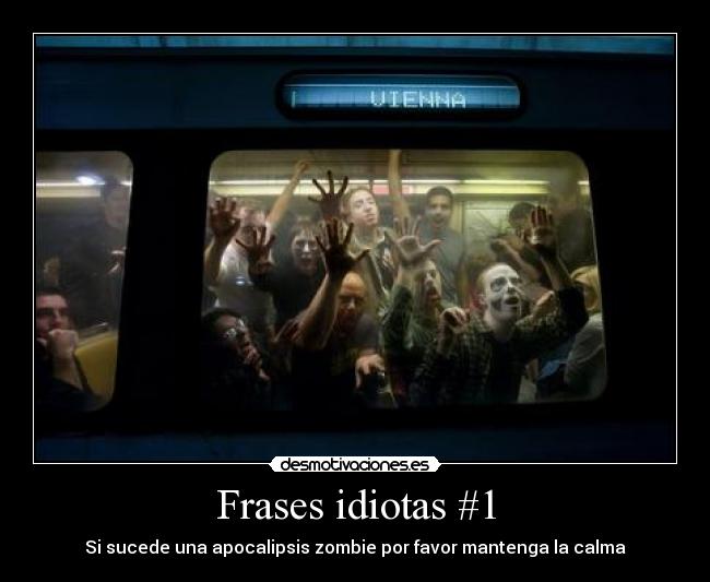 Frases idiotas #1 - 