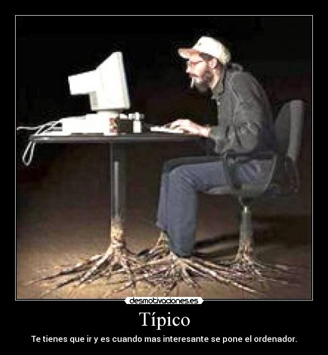 Típico - 