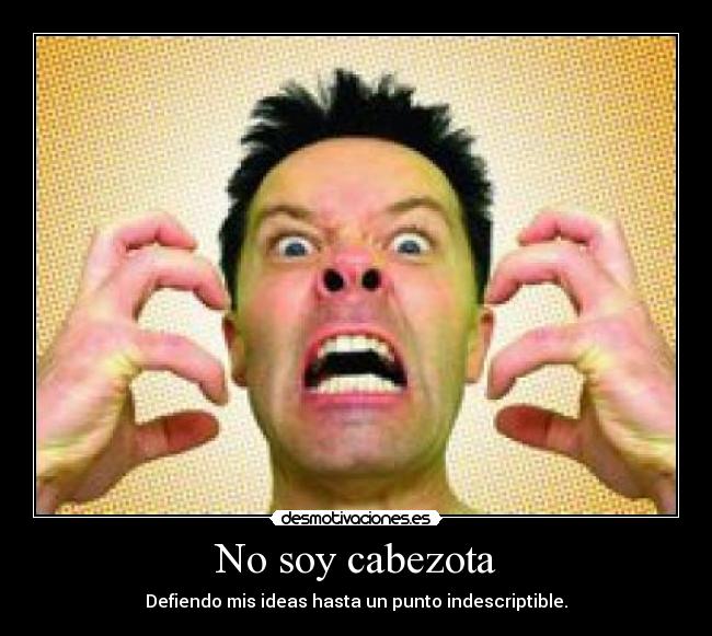 No soy cabezota - Defiendo mis ideas hasta un punto indescriptible.