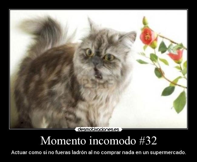 Momento incomodo #32 - Actuar como si no fueras ladrón al no comprar nada en un supermercado.