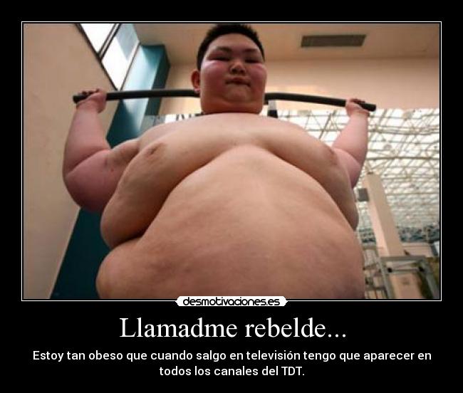 Llamadme rebelde... - Estoy tan obeso que cuando salgo en televisión tengo que aparecer en
todos los canales del TDT.