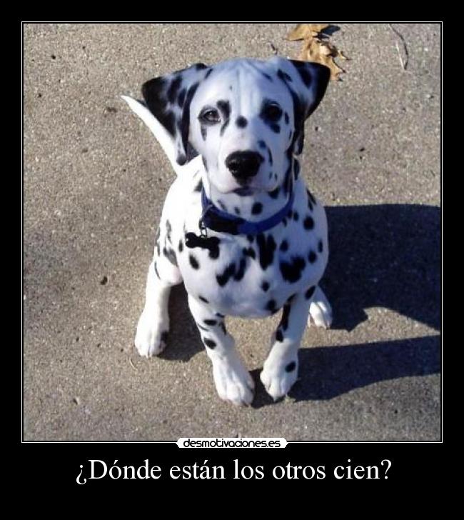 ¿Dónde están los otros cien? -