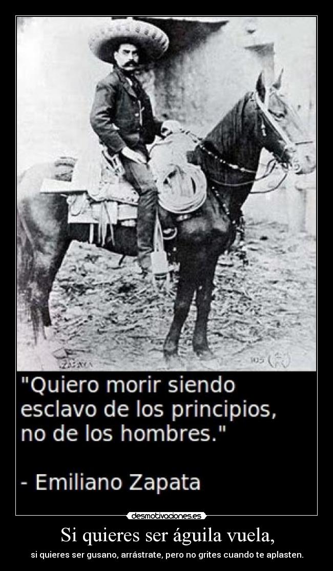 Si quieres ser águila vuela, - si quieres ser gusano, arrástrate, pero no grites cuando te aplasten.