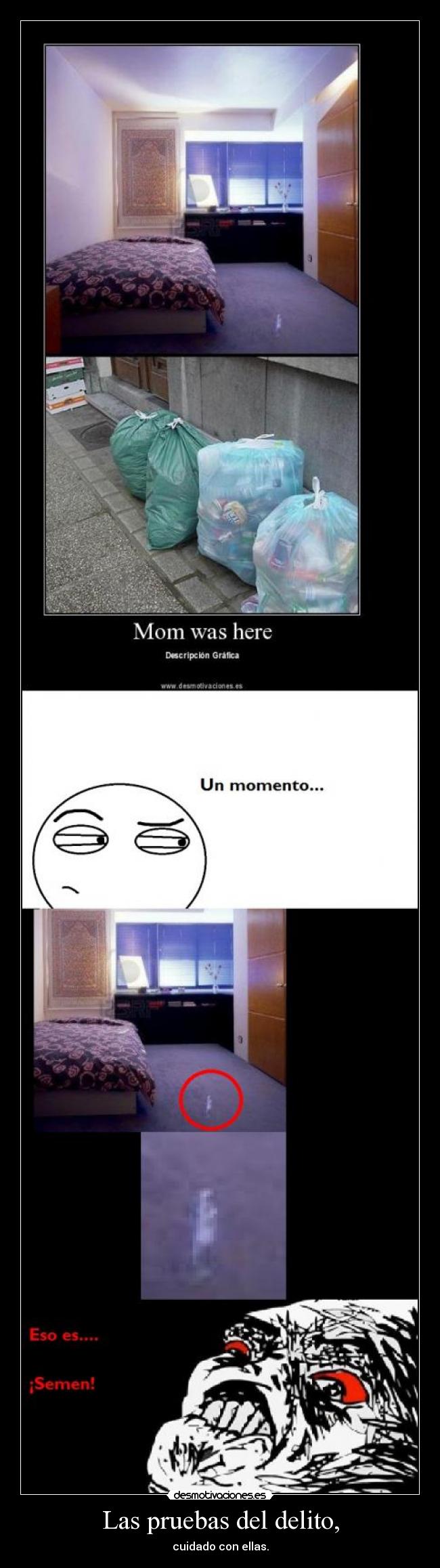 Las pruebas del delito, - 