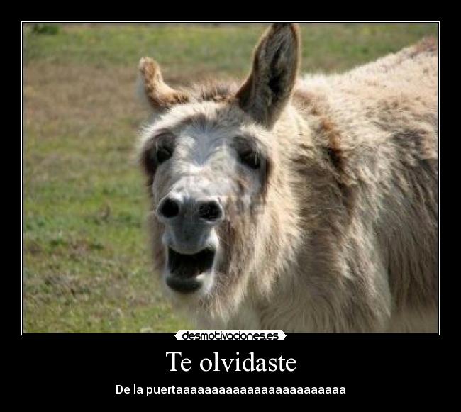 carteles sadasd desmotivaciones