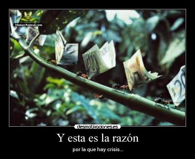 Y esta es la razón -