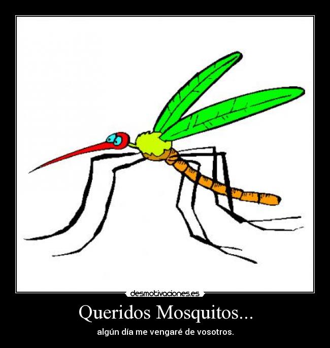 Queridos Mosquitos... -