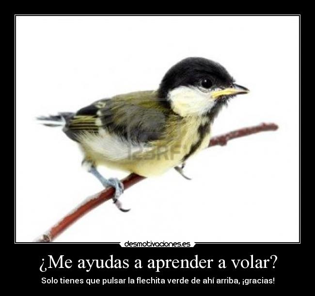 ¿Me ayudas a aprender a volar? -