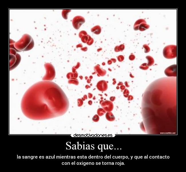 Sabias que... -