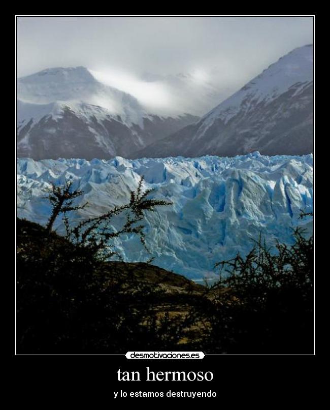 tan hermoso - y lo estamos destruyendo