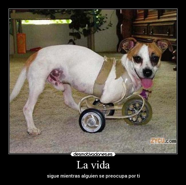 La vida - sigue mientras alguien se preocupa por ti