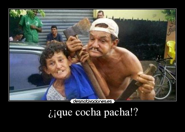¿¡que cocha pacha!? - 
