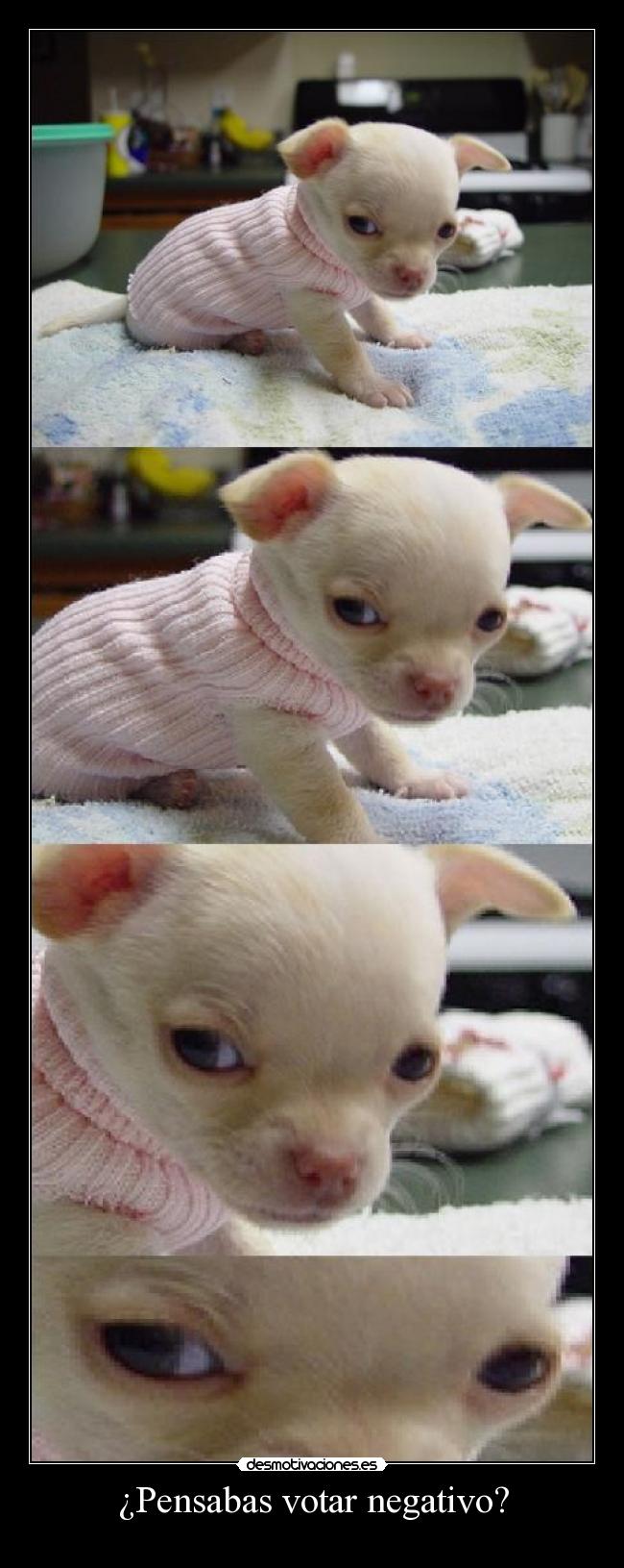 ¿Pensabas votar negativo? - 