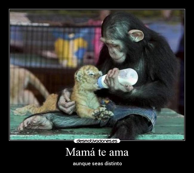 Mamá te ama - aunque seas distinto