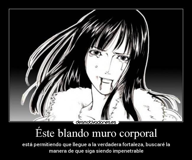 carteles robin llorar sangre blando muro corporal fortaleza impenetrable permitir one piece desmotivaciones