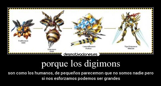 porque los digimons - 