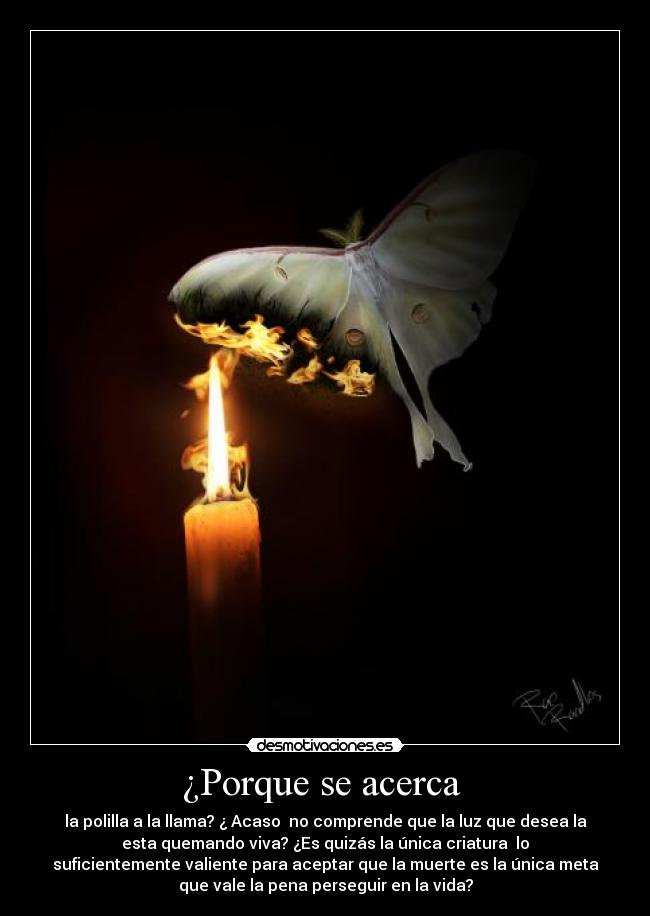 ¿Porque se acerca  - la polilla a la llama? ¿ Acaso  no comprende que la luz que desea la
esta quemando viva? ¿Es quizás la única criatura  lo
suficientemente valiente para aceptar que la muerte es la única meta
que vale la pena perseguir en la vida?